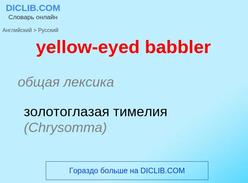 Как переводится yellow-eyed babbler на Русский язык