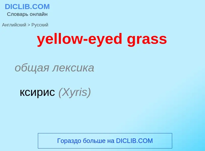 Como se diz yellow-eyed grass em Russo? Tradução de &#39yellow-eyed grass&#39 em Russo