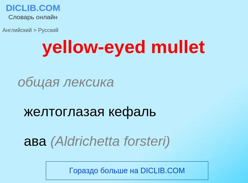 Como se diz yellow-eyed mullet em Russo? Tradução de &#39yellow-eyed mullet&#39 em Russo