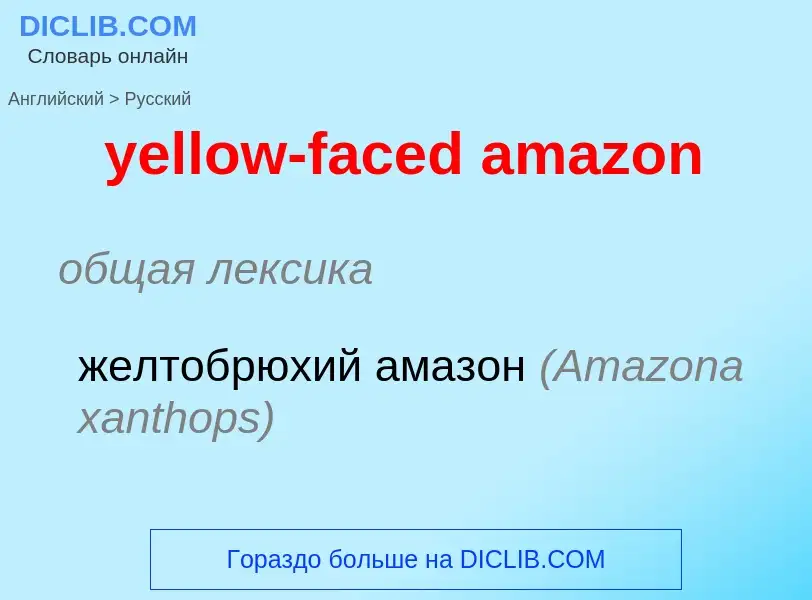 Как переводится yellow-faced amazon на Русский язык