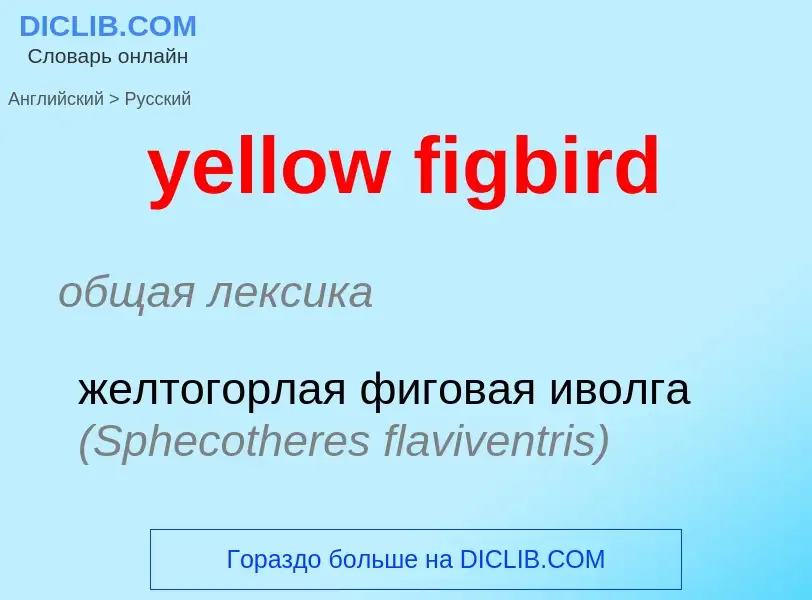 Как переводится yellow figbird на Русский язык