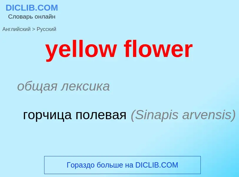 Как переводится yellow flower на Русский язык