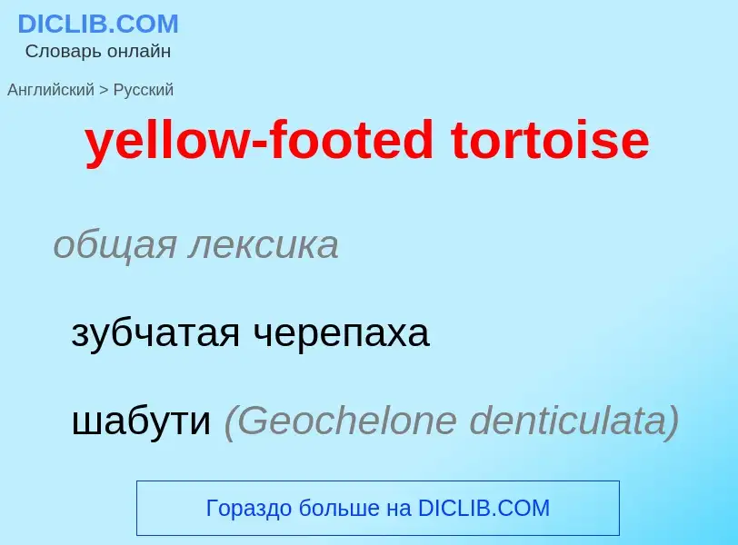 What is the الروسية for yellow-footed tortoise? Translation of &#39yellow-footed tortoise&#39 to الر