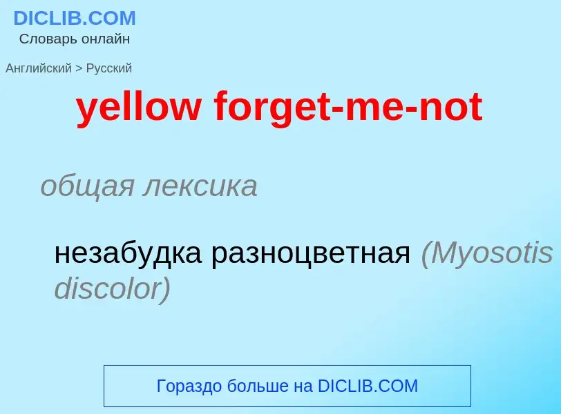 Как переводится yellow forget-me-not на Русский язык