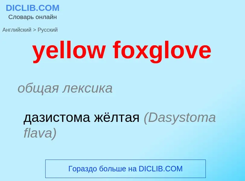 Как переводится yellow foxglove на Русский язык