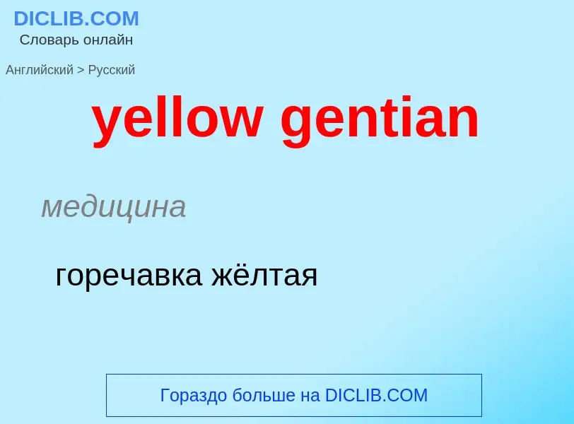 Как переводится yellow gentian на Русский язык