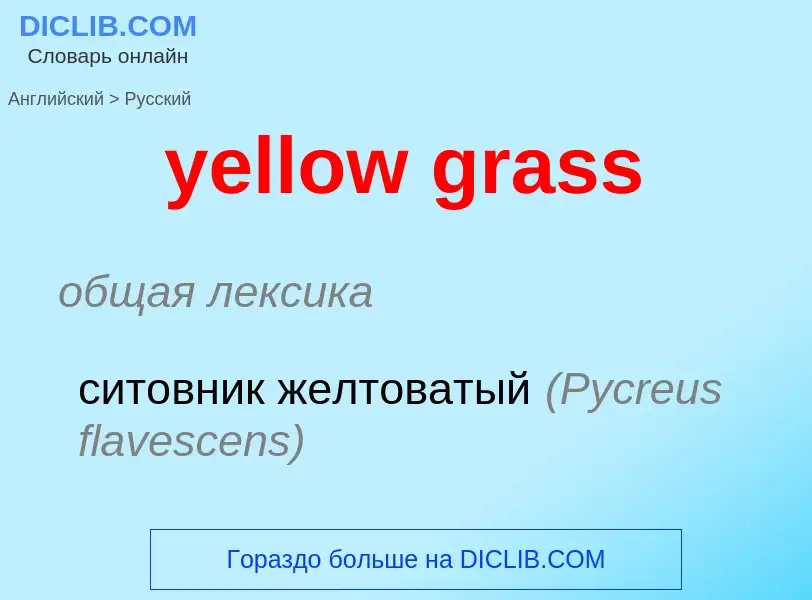 Как переводится yellow grass на Русский язык