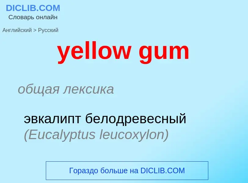 Как переводится yellow gum на Русский язык