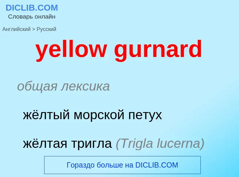 Как переводится yellow gurnard на Русский язык