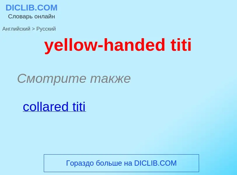 Как переводится yellow-handed titi на Русский язык