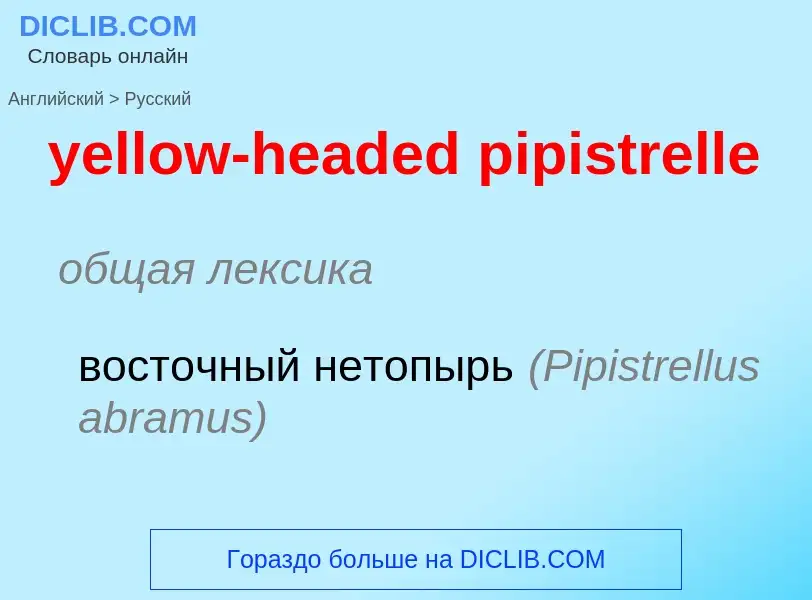 Como se diz yellow-headed pipistrelle em Russo? Tradução de &#39yellow-headed pipistrelle&#39 em Rus