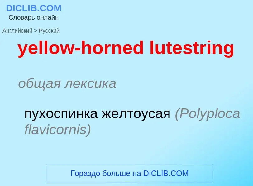 Como se diz yellow-horned lutestring em Russo? Tradução de &#39yellow-horned lutestring&#39 em Russo