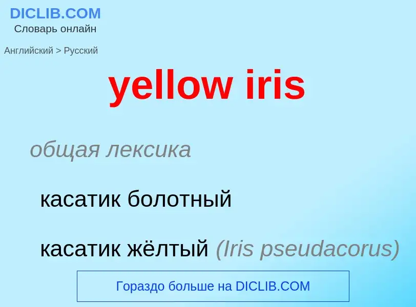 Как переводится yellow iris на Русский язык