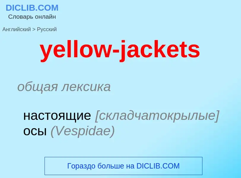 Как переводится yellow-jackets на Русский язык