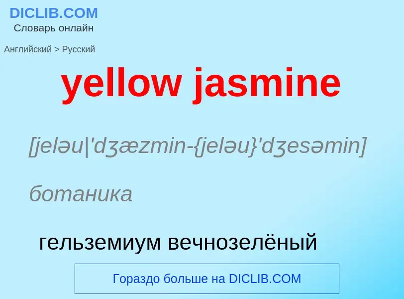 Как переводится yellow jasmine на Русский язык