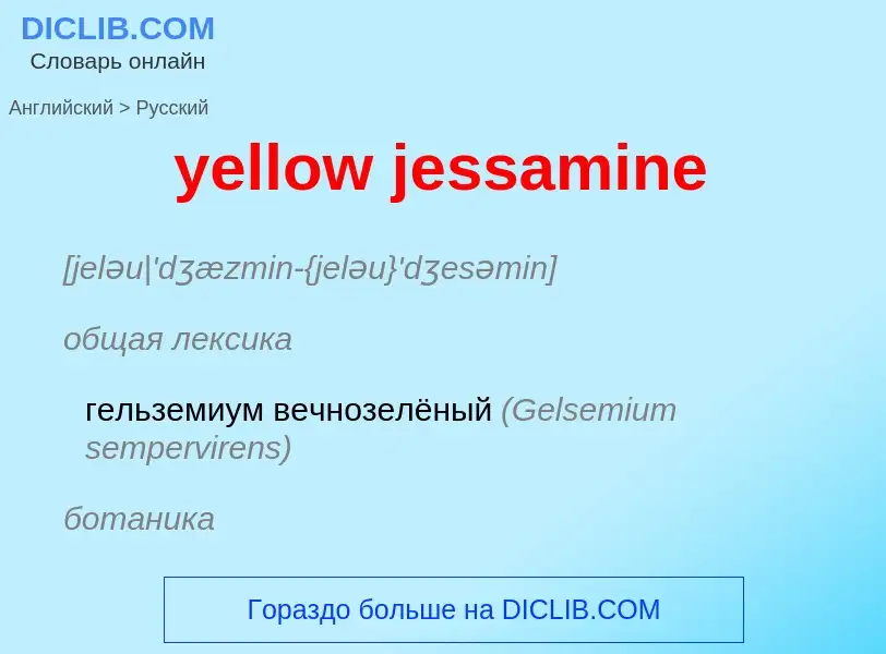 Как переводится yellow jessamine на Русский язык