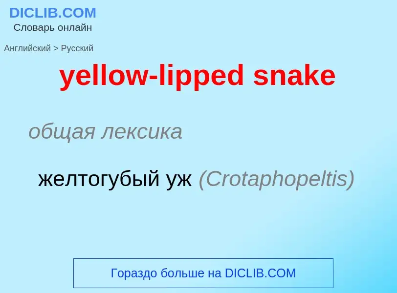 Как переводится yellow-lipped snake на Русский язык