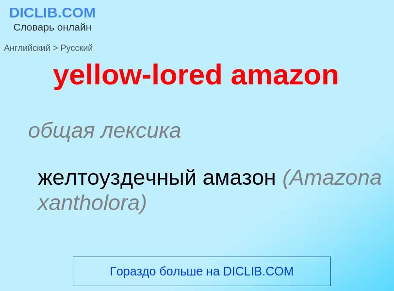 Como se diz yellow-lored amazon em Russo? Tradução de &#39yellow-lored amazon&#39 em Russo