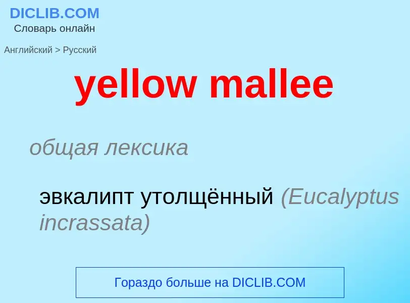 Vertaling van &#39yellow mallee&#39 naar Russisch