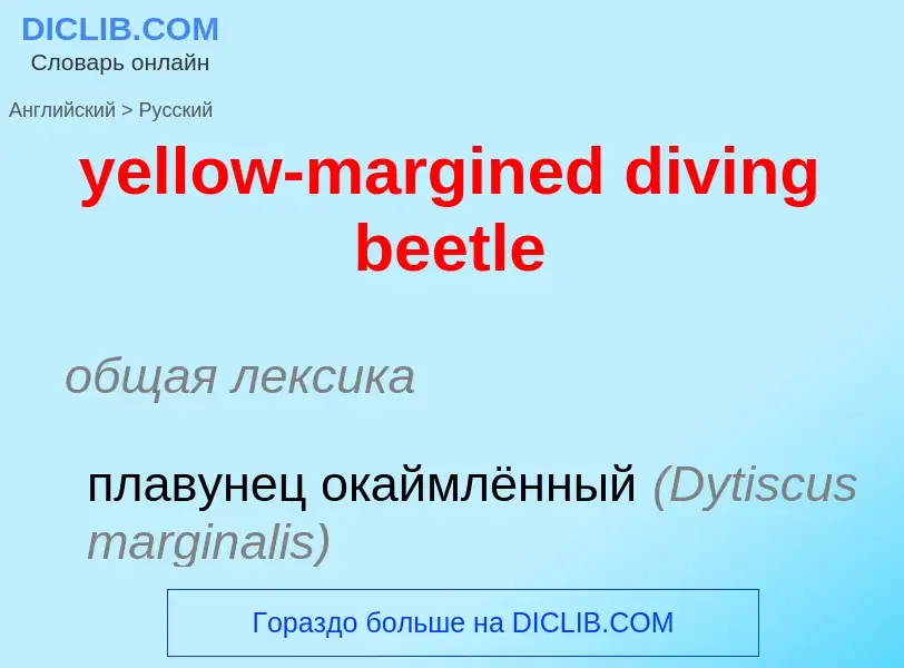 Как переводится yellow-margined diving beetle на Русский язык