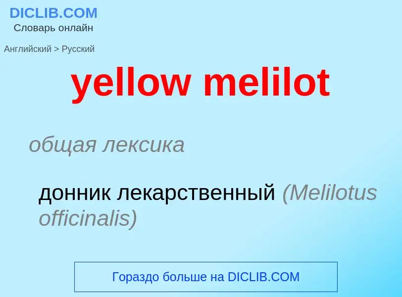 Como se diz yellow melilot em Russo? Tradução de &#39yellow melilot&#39 em Russo