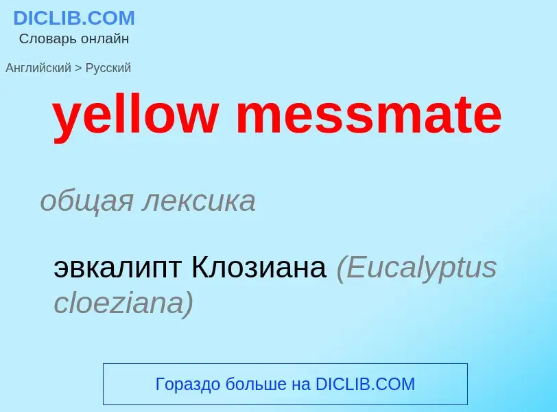 Como se diz yellow messmate em Russo? Tradução de &#39yellow messmate&#39 em Russo