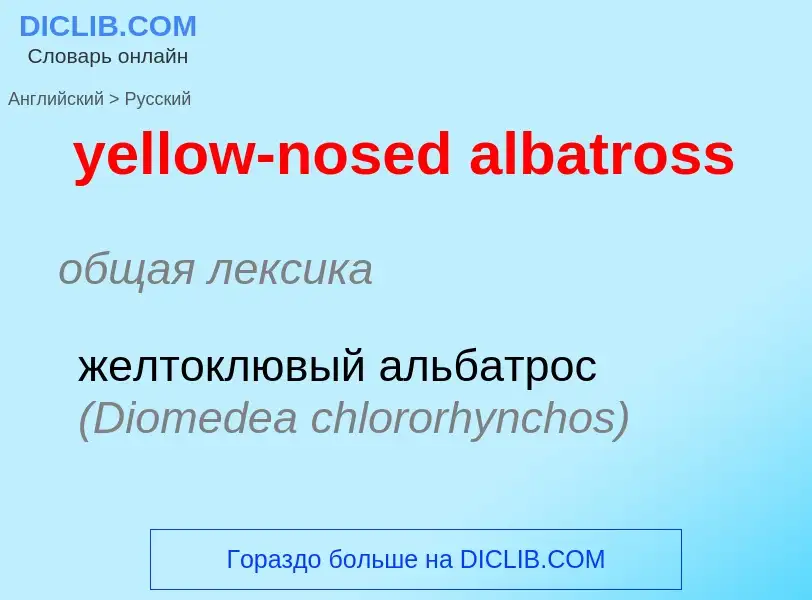 Como se diz yellow-nosed albatross em Russo? Tradução de &#39yellow-nosed albatross&#39 em Russo