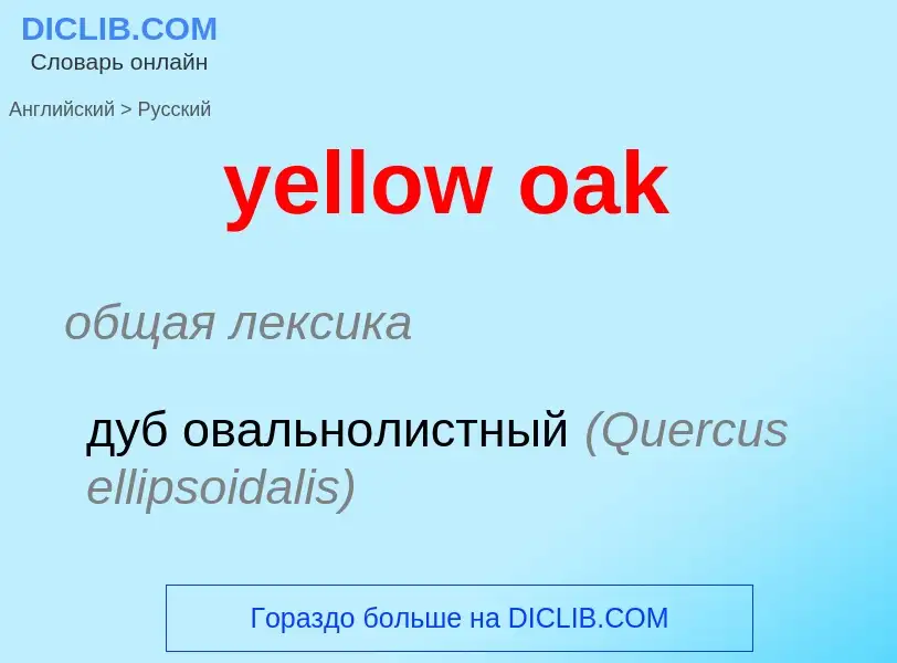 Como se diz yellow oak em Russo? Tradução de &#39yellow oak&#39 em Russo