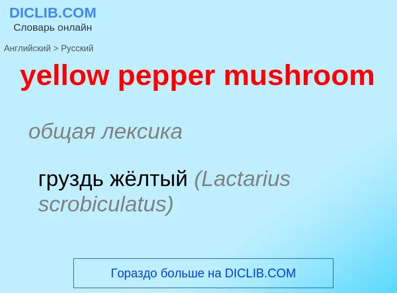 Como se diz yellow pepper mushroom em Russo? Tradução de &#39yellow pepper mushroom&#39 em Russo