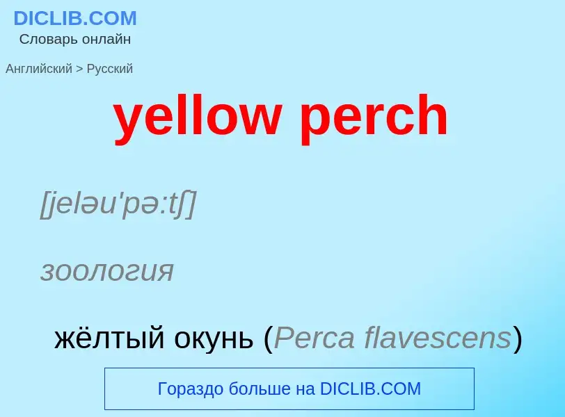 Como se diz yellow perch em Russo? Tradução de &#39yellow perch&#39 em Russo