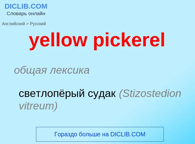 Como se diz yellow pickerel em Russo? Tradução de &#39yellow pickerel&#39 em Russo