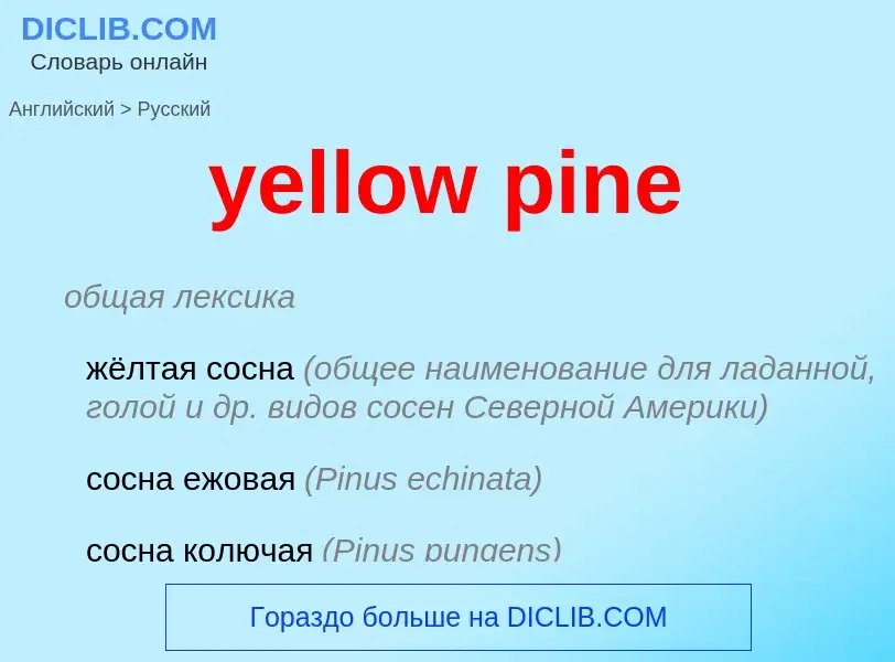 Como se diz yellow pine em Russo? Tradução de &#39yellow pine&#39 em Russo