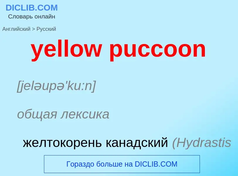 Como se diz yellow puccoon em Russo? Tradução de &#39yellow puccoon&#39 em Russo