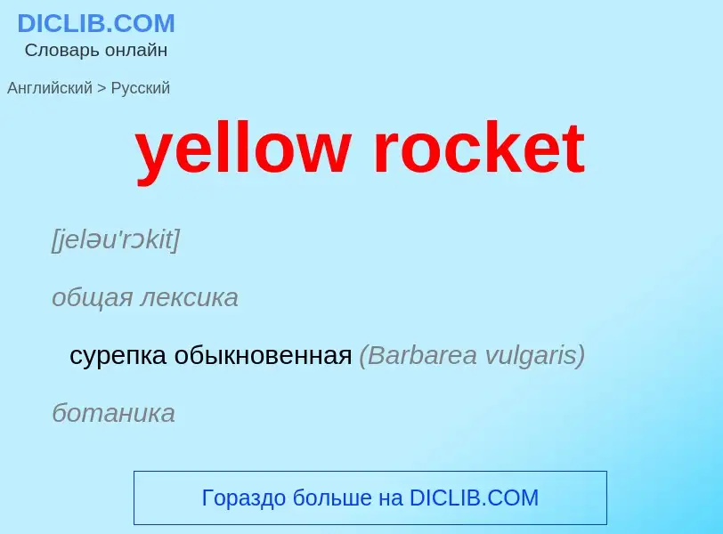 What is the الروسية for yellow rocket? Translation of &#39yellow rocket&#39 to الروسية