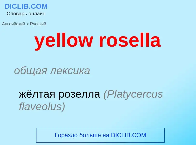 Como se diz yellow rosella em Russo? Tradução de &#39yellow rosella&#39 em Russo