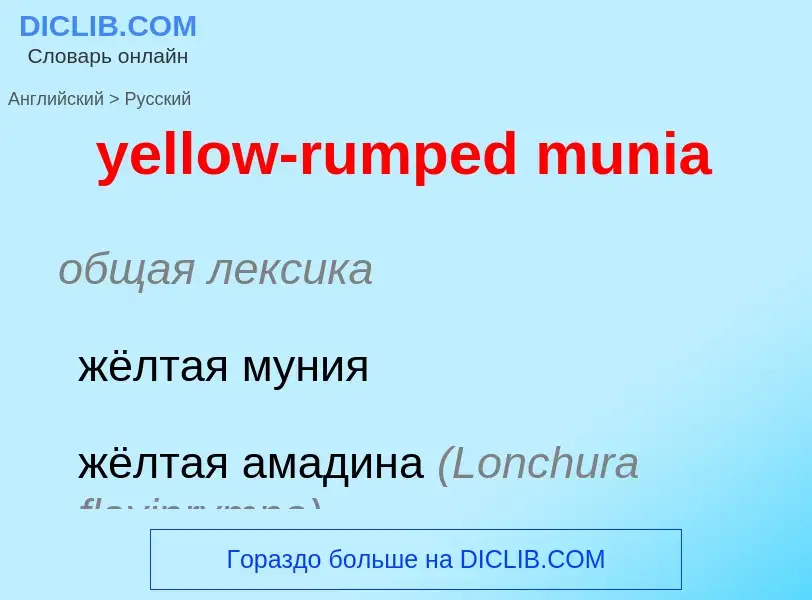 Como se diz yellow-rumped munia em Russo? Tradução de &#39yellow-rumped munia&#39 em Russo