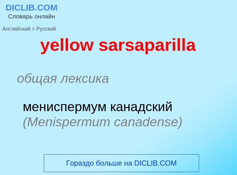 Como se diz yellow sarsaparilla em Russo? Tradução de &#39yellow sarsaparilla&#39 em Russo