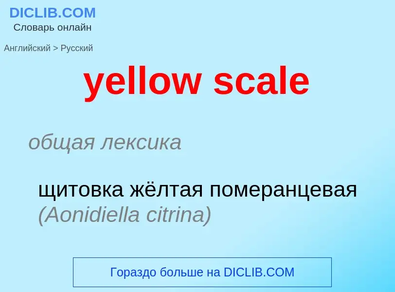 Como se diz yellow scale em Russo? Tradução de &#39yellow scale&#39 em Russo