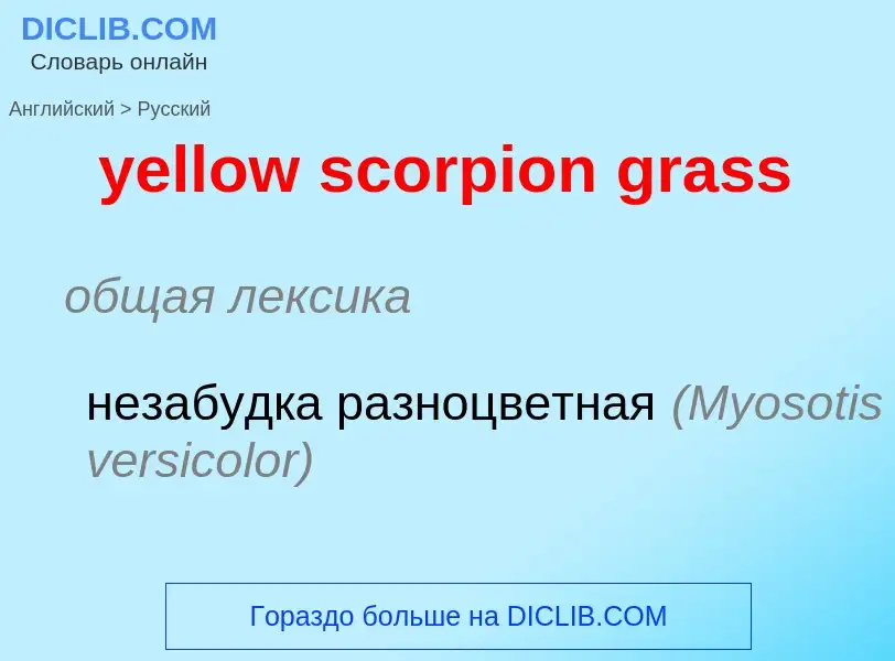 Como se diz yellow scorpion grass em Russo? Tradução de &#39yellow scorpion grass&#39 em Russo