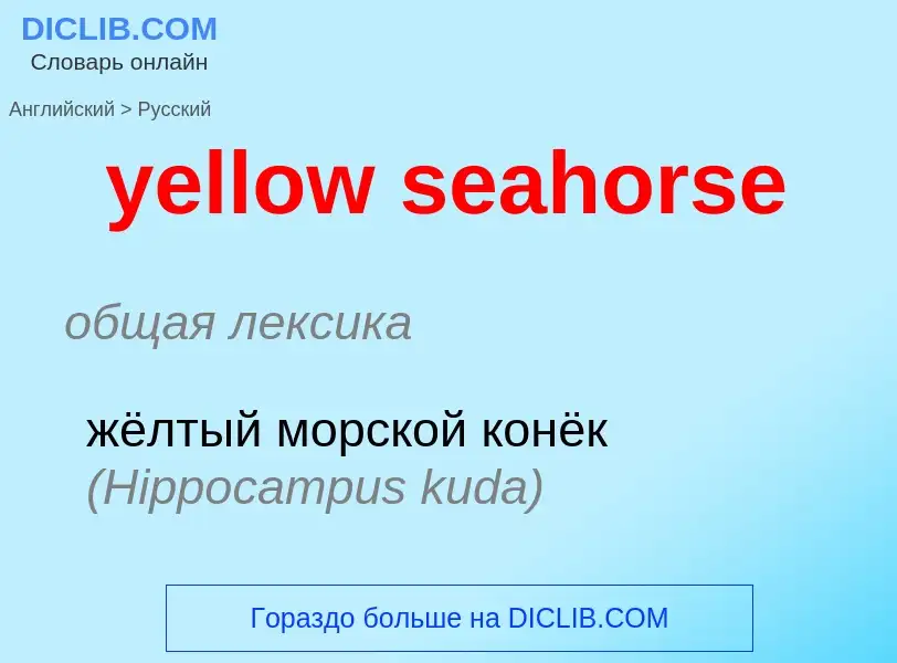 Como se diz yellow seahorse em Russo? Tradução de &#39yellow seahorse&#39 em Russo