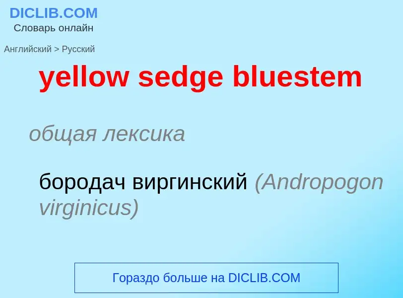 Como se diz yellow sedge bluestem em Russo? Tradução de &#39yellow sedge bluestem&#39 em Russo