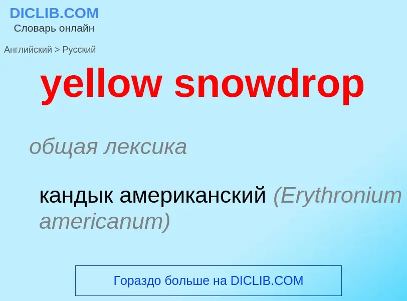 Como se diz yellow snowdrop em Russo? Tradução de &#39yellow snowdrop&#39 em Russo