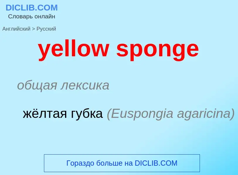 Como se diz yellow sponge em Russo? Tradução de &#39yellow sponge&#39 em Russo