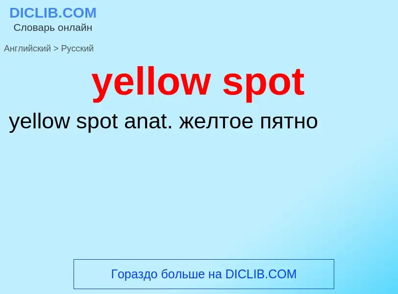 What is the Russian for yellow spot? Translation of &#39yellow spot&#39 to Russian