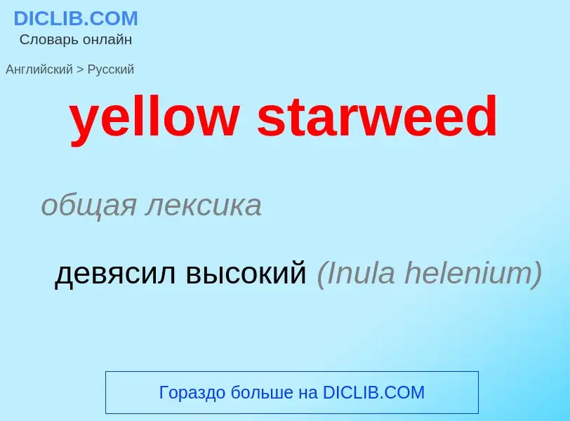 Como se diz yellow starweed em Russo? Tradução de &#39yellow starweed&#39 em Russo