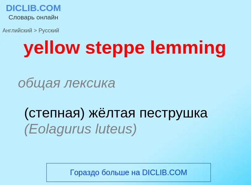 Traduzione di &#39yellow steppe lemming&#39 in Russo