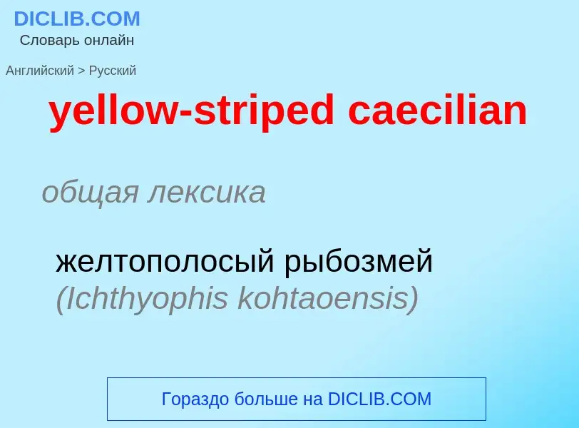 Как переводится yellow-striped caecilian на Русский язык