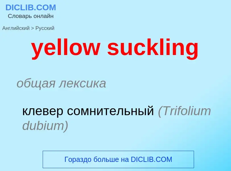 What is the الروسية for yellow suckling? Translation of &#39yellow suckling&#39 to الروسية