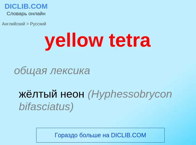 Как переводится yellow tetra на Русский язык