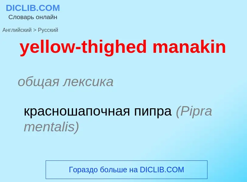 Como se diz yellow-thighed manakin em Russo? Tradução de &#39yellow-thighed manakin&#39 em Russo